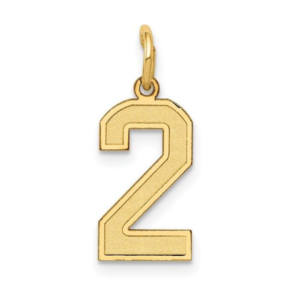 14k Yellow Gold, Jersey Collection, Small Number 2 Pendant - Picture 1 of 5